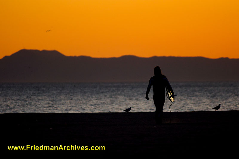 beach,ocean,sunset,sunrise,silhouette,surf city,sun,orange,surfing,surf board,sport,icon,